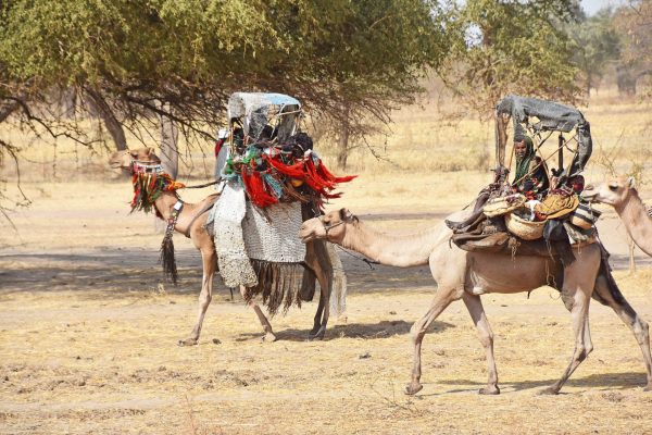Nomads on the move - Chad tours and holidays