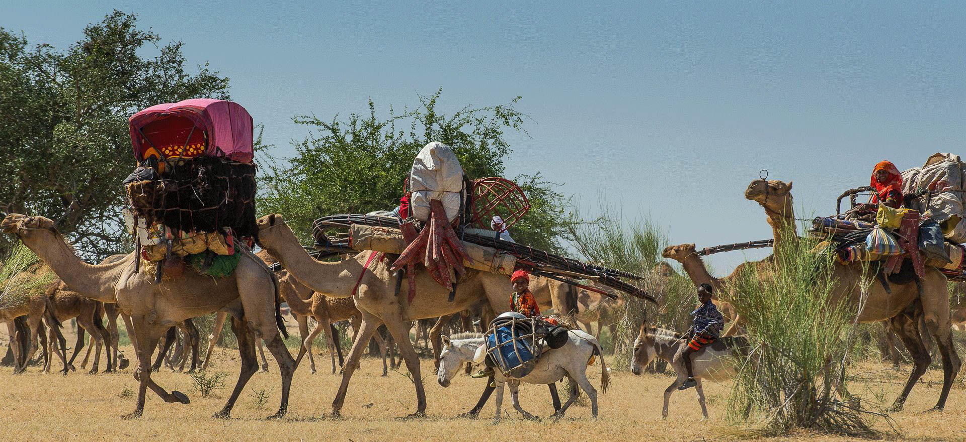 Nomads on the move in Mongo region - Chad tours