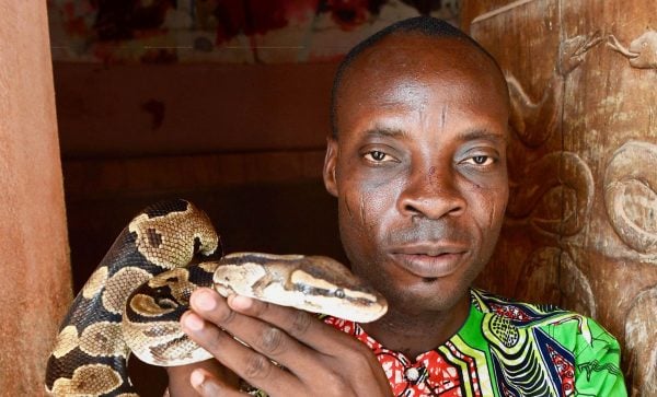 Man at python temple in Ouidah - Benin holidays