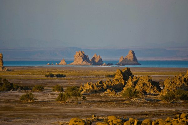 Limestone chimneys of Lac Abbe - Djibouti tours and holidays