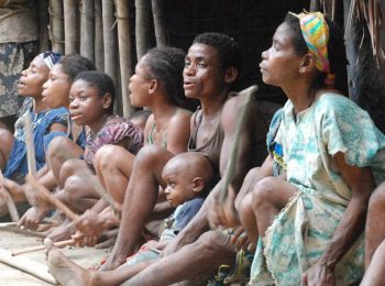 Pygmy community making traditional music - Gabon tours and holidays