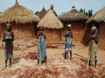 Gwari women thrashing grain - Nigeria holidays