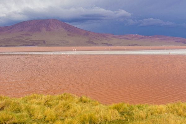 Salt lake of Salar de Uyuni - Bolivia tours