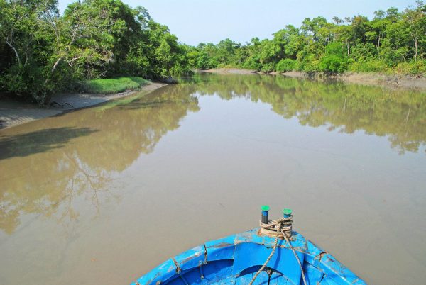 Sundarbans river cruise - Sundarbans tours