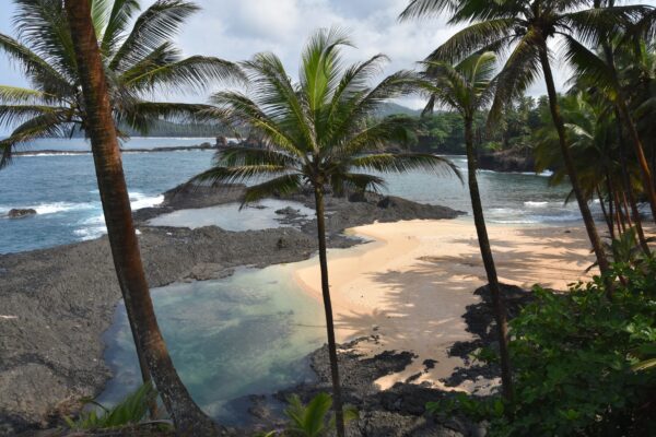 Sao Tomé beach with palm trees