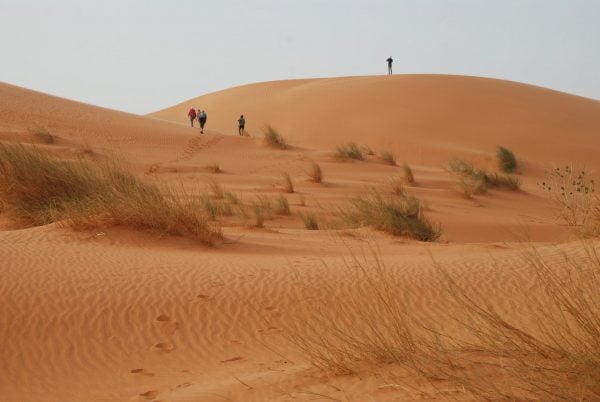 Sand dunes in Mauritania