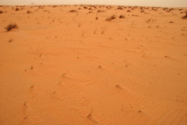 Desert scene in Mauritania