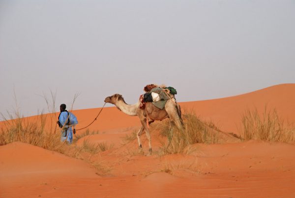 Mauritania holidays - nomad with camel in the desert