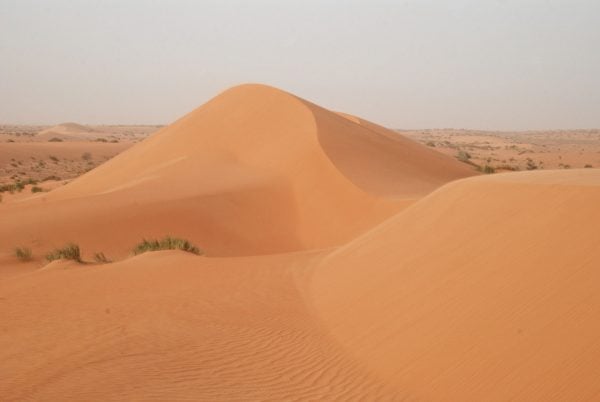 Sand dunes in the Adrar region - Mauritania holidays