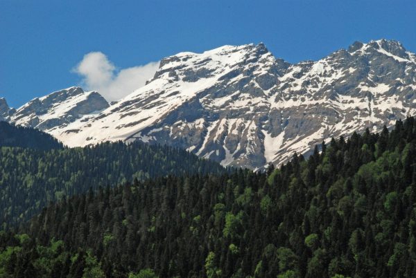 Mountain scenery - Abkhazia tour