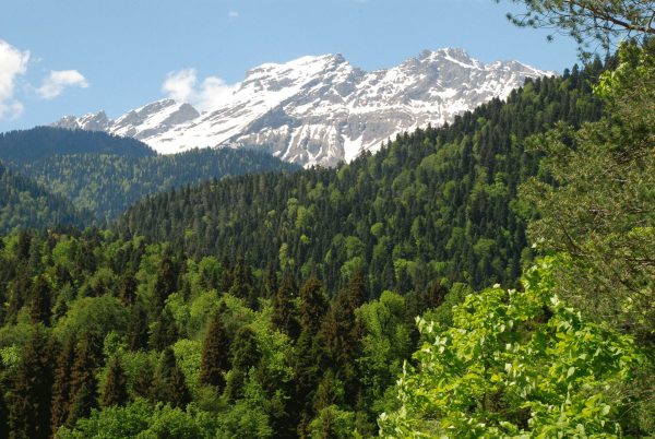 Mountain scenery - Abkhazia tour
