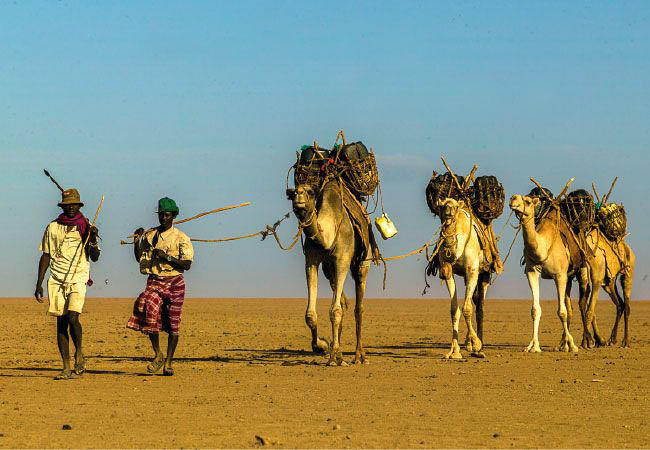 Gabbra man with camels in northern Kenya - Kenya tribal tour