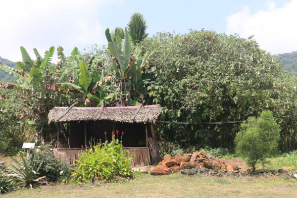 Homestead, Equatorial Guinea