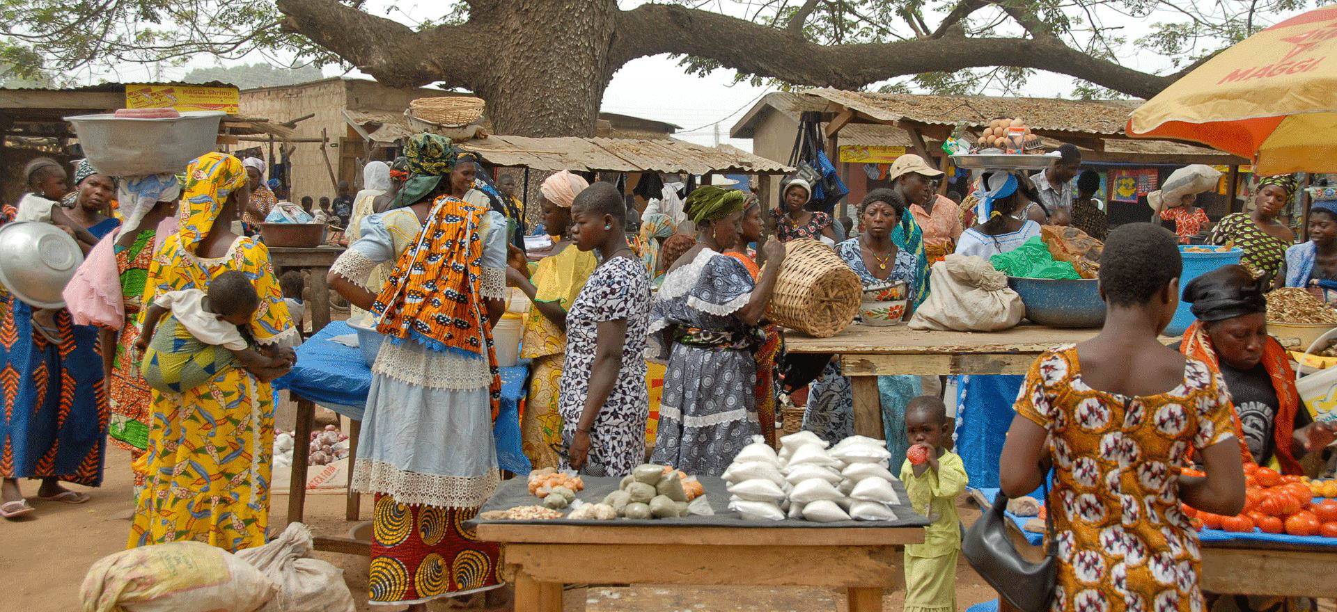 Guinea Holidays and Tours - Traditional market scene
