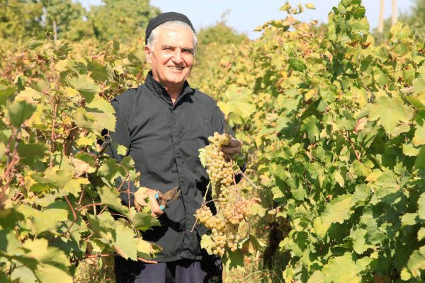 Winemaker in Georgia, Caucasus tour