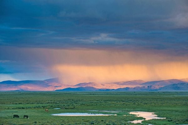 Mongolia landscape photo
