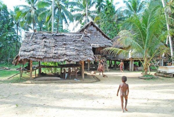 Traditional village in the Sepik Valley