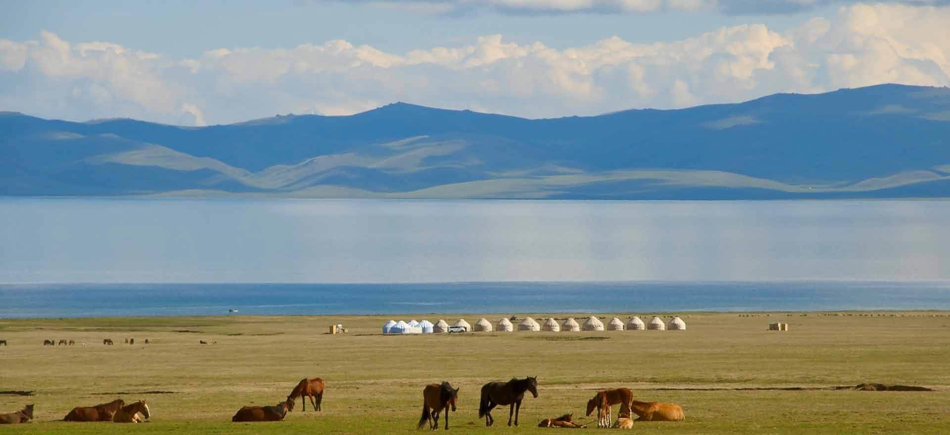 Horses grazing on the shores of Lake Issyk Kul - Kyrgyzstan Holidays and Tours