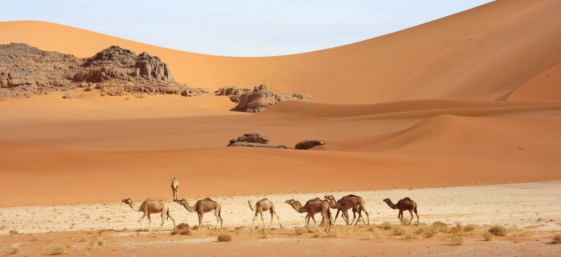 Algeria holidays and tours - The Sahara Desert