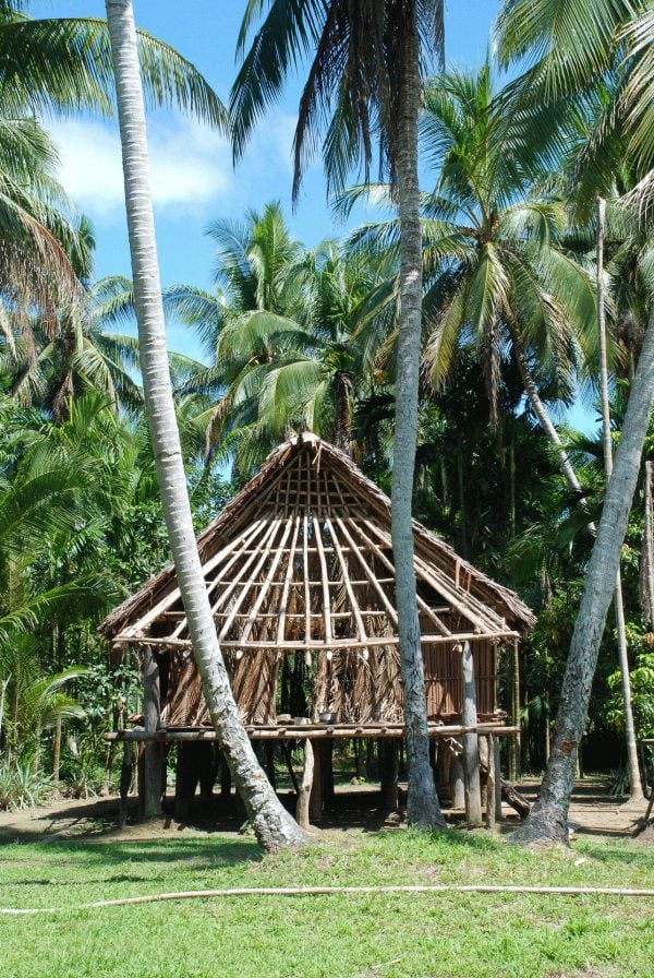 Traditional village house - Papua New Guinea tours