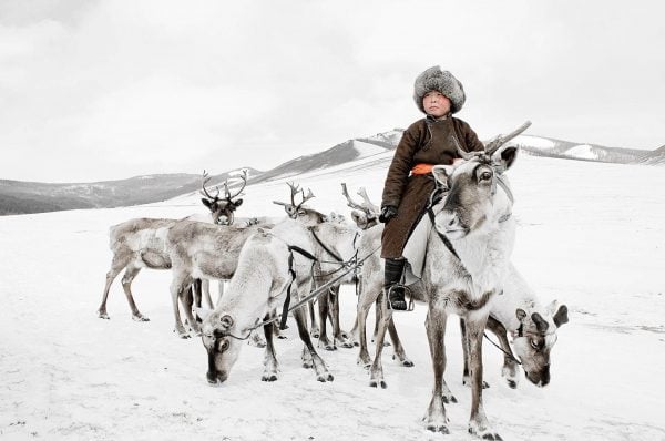 Boy on reindeer - Mongolia itinerary