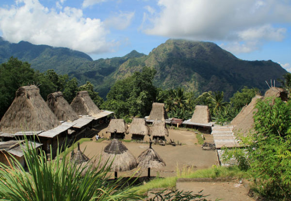 Traditional village - Tanah Toraja tours