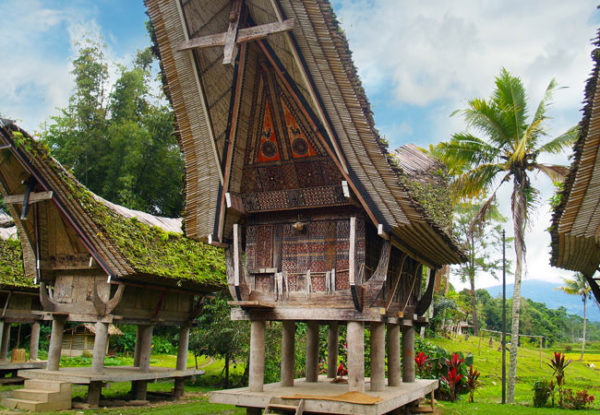 Traditional rice barns - Tanah Toraja tours