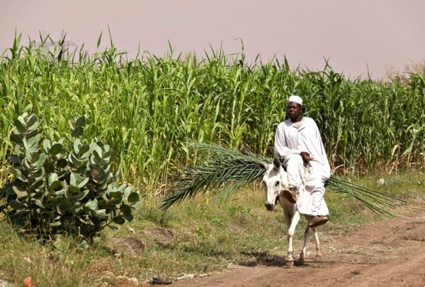 Villager in the Nile Valley, Sudan