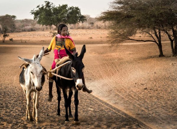 Woman on donkey in desert - Sudan itinerary