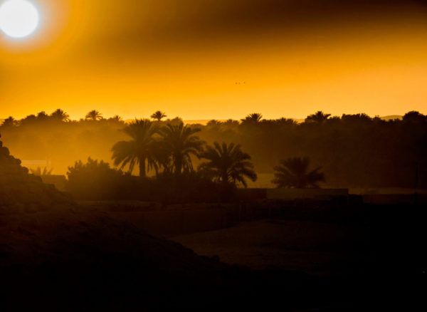 Sunset in Nile Valley oasis - Sudan itinerary