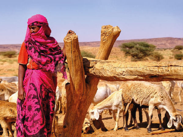 Nile Valley itinerary image of woman with goats - Sudan