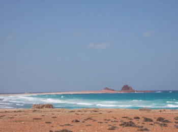 Coastal scenery on Socotra tour