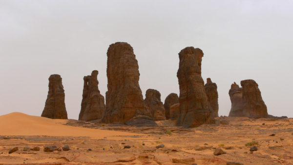 Rock pillars on tour to Tassili n'Ajjer Algeria