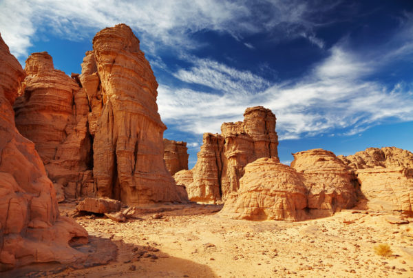 Sandstone pillars in the Tassili n'Ajjer