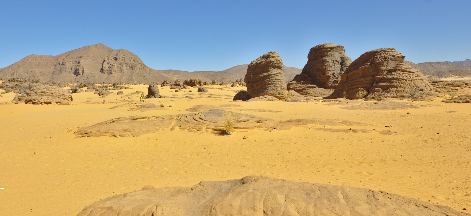 Southern Algeria desert - Tassili n'Ajjer