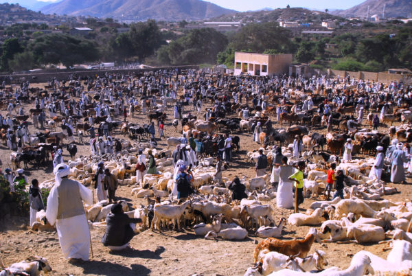 Market scene in Keren - Eritrea tours