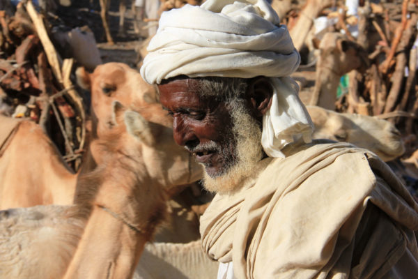 Eitrean man with camels - Eritrea holidays