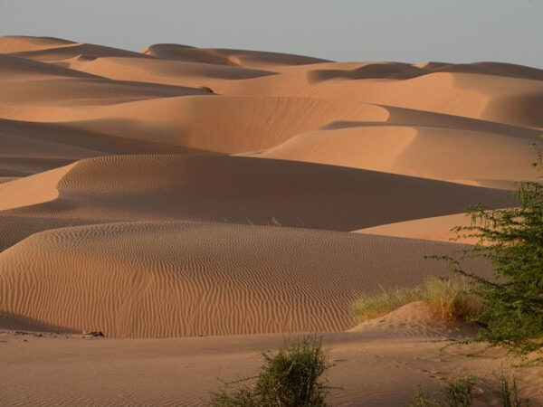 Mauritania Holidays And Tours With Africa Experts Native Eye