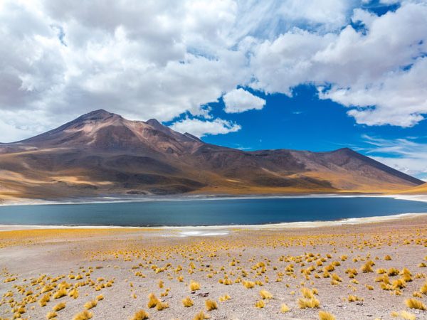 Chile Holidays and Tours
