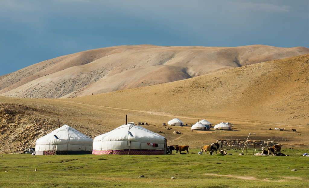 Altai Explorer - Yurts and horses in the distance 