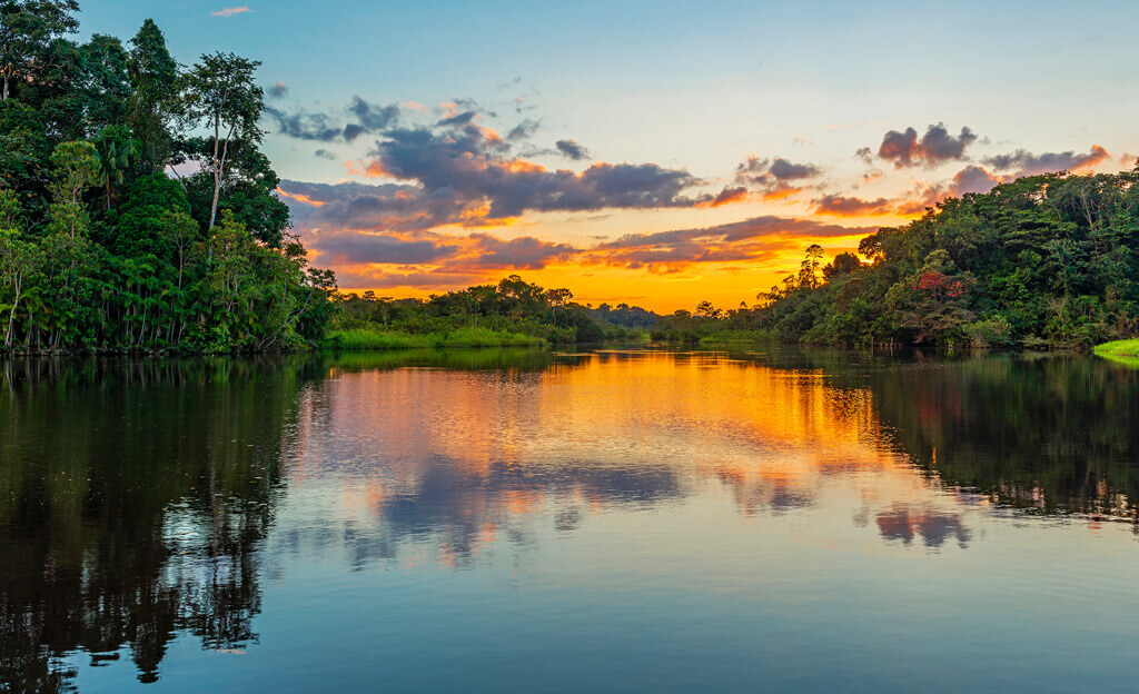 Amazon Brazil - new tours for 2022 - Native Eye