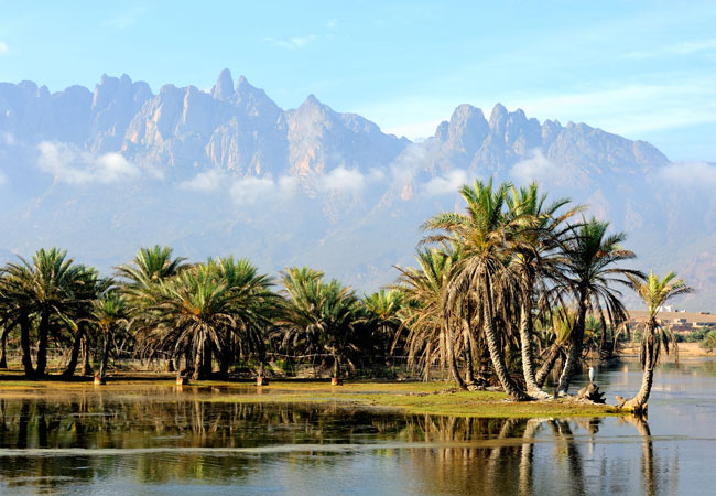 socotra group tour