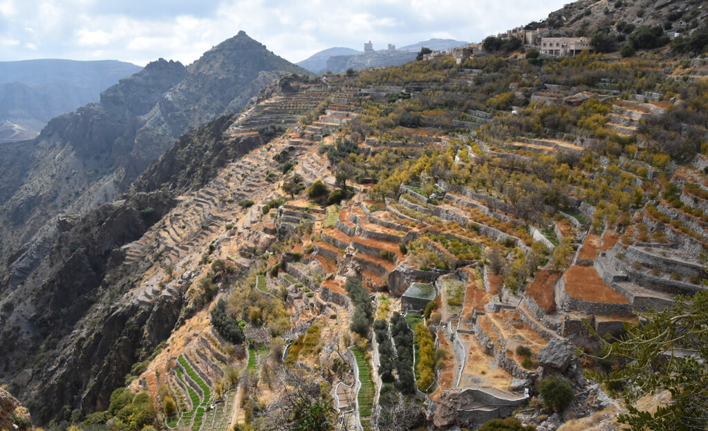 Terraced hills on Jebel Akhdar 