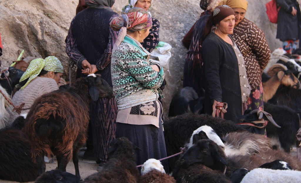 Tajikistan tour in the Silk Road - women at a livestock market