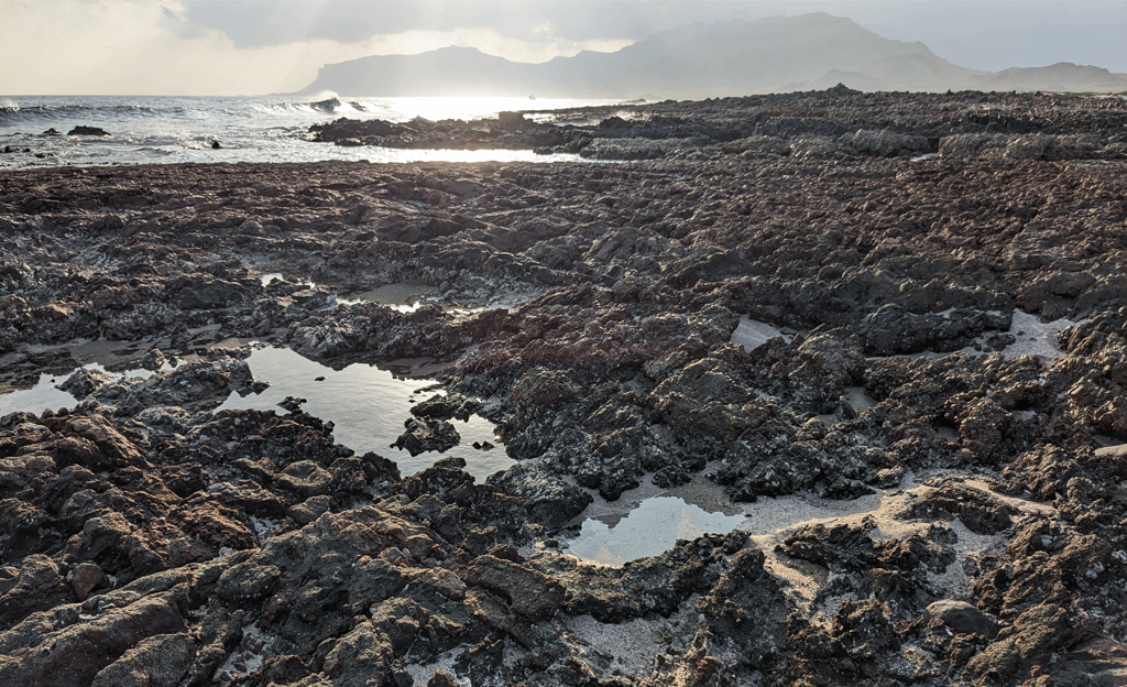 Tours in Socotra along the coast