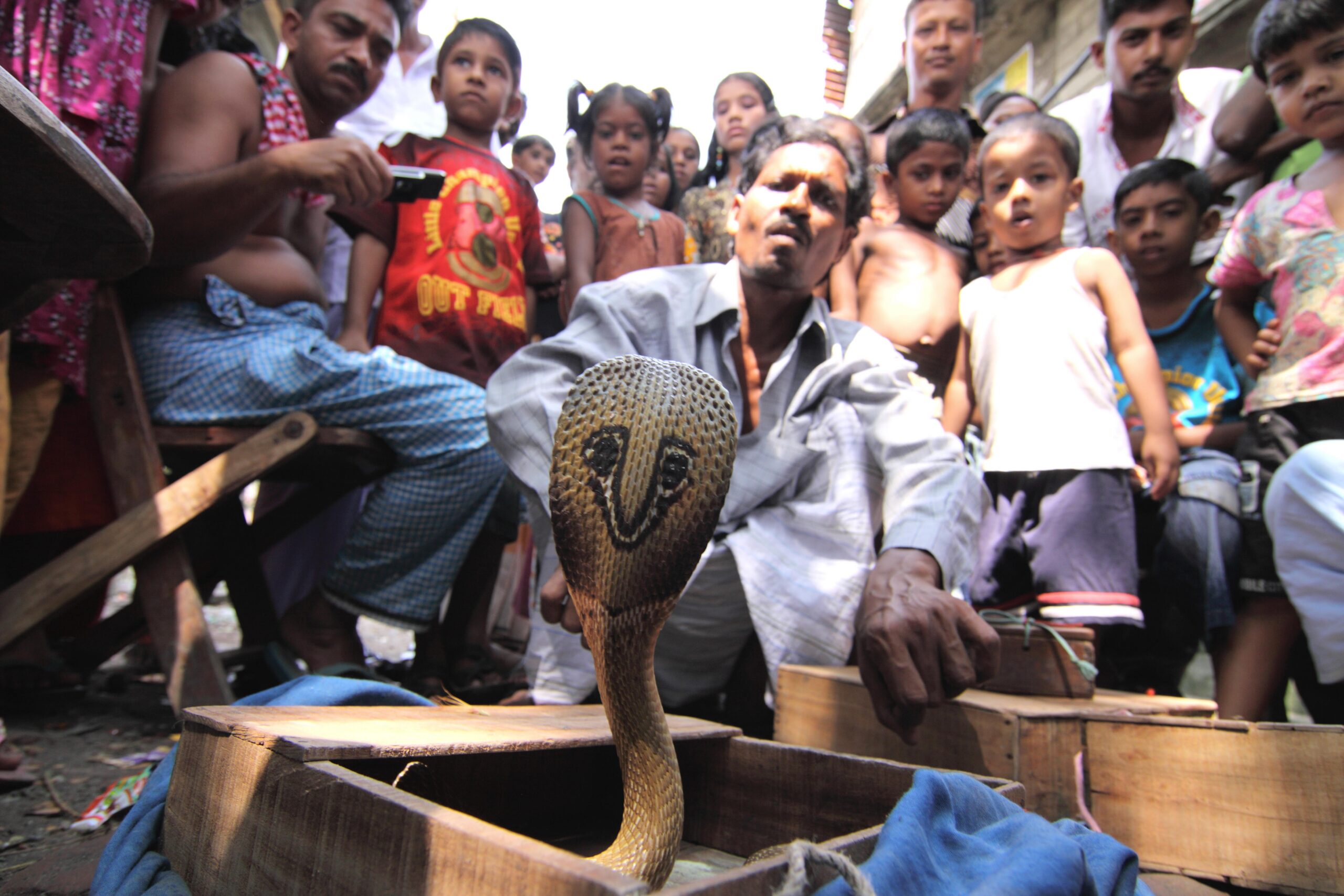 Snake charmer, Old Dhaka