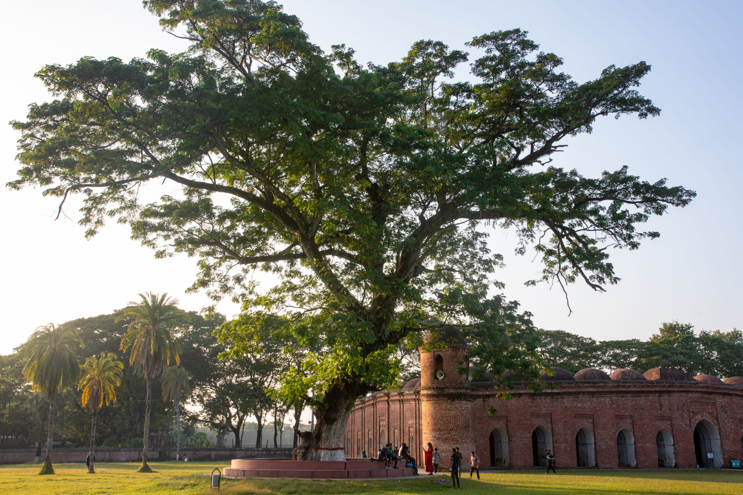 Sixty dome mosque Bagerhat